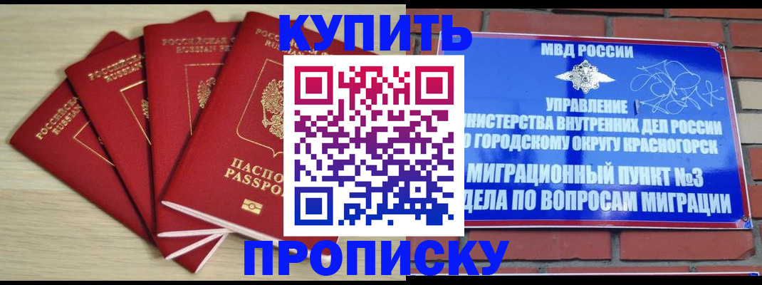 временная регистрация для всех в Шали